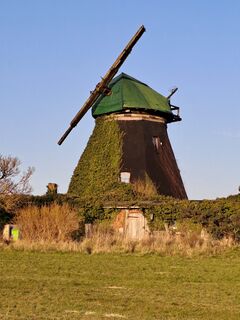 Windmühle Dambeck - Ansicht der Mühle mit teilweise schon bewachsenen Turm 2025