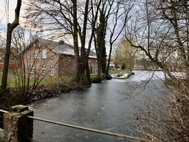 Wassermühle Pritzier - Mühlenteich 2025