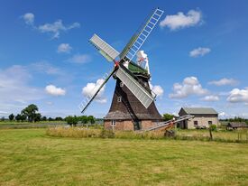Windmühle Rövershagen - Ansicht von Mühle mit altem Motorenhaus 2025