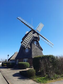 Windmühle Dorf Mecklenburg - Ansicht von Westen, 2025