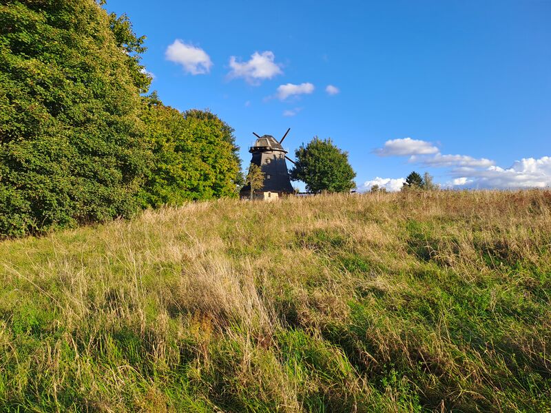 Datei:BadSuelze-Windmuehle-1-Muehlen-MV-Foto-Arlt-2025-3.jpg
