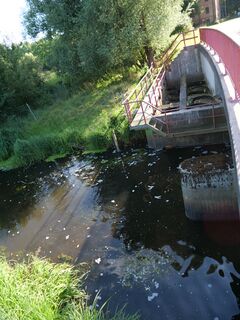 Wassermühle in Schildfeld - Ansicht der Fischaufstiegsanalage (Mäanderpass) 2025