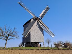 Windmühle Storkow - Ansicht der Bockwindmühle 2025