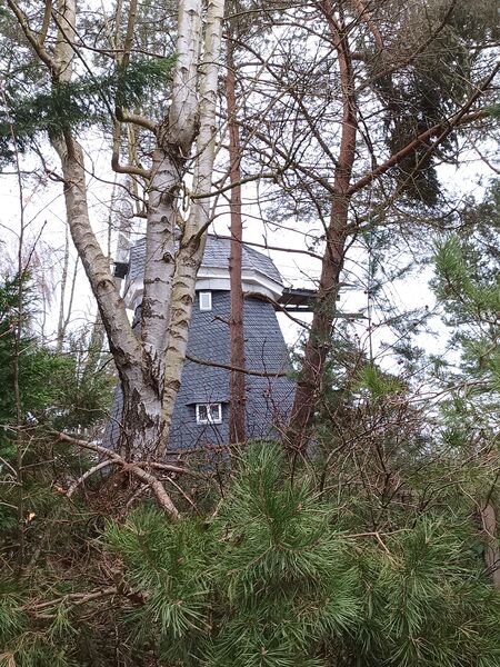Datei:Windmühle Trassenheide Bild 2.jpg