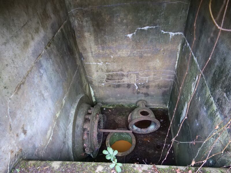 Datei:P1000781.JPG