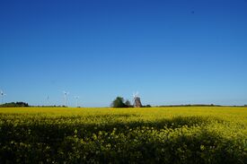 Windmühle Grebbin - freier Mühlenstandort in der Landschaft 2024