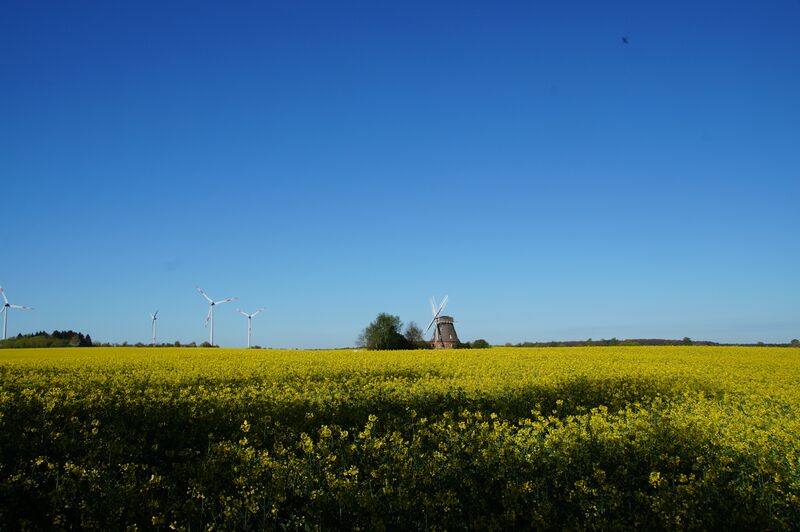 Datei:Grebbin-Windmuehle-Muehlen-MV-Foto-Arlt-2024-1.JPG