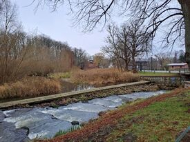 Wassermühle Neubukow - Blick von der Fischtreppe zur Mühle 2025