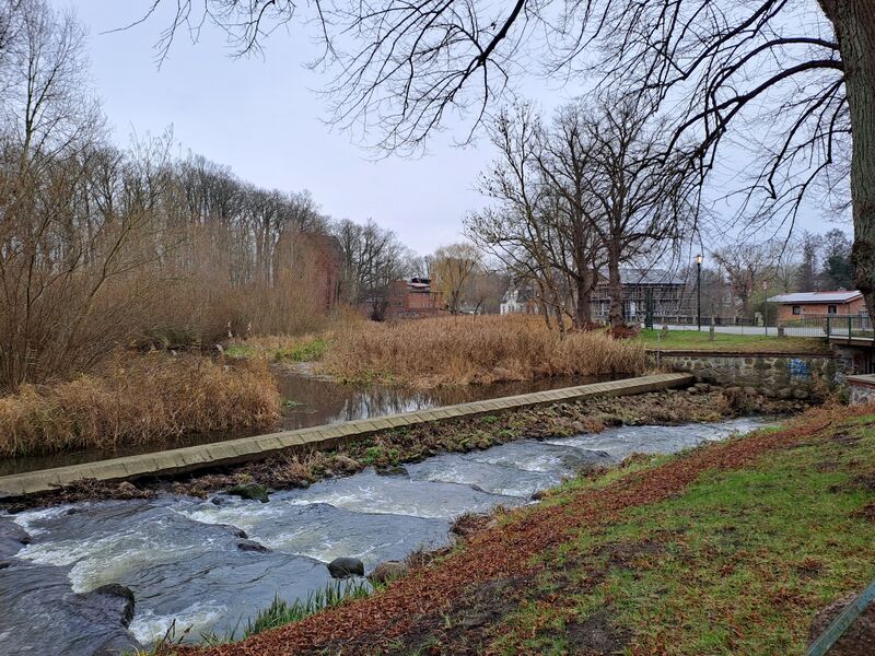 Datei:Neubukow-Wassermuehle-Muehlen-MV-Foto-Arlt-2025-24.jpg