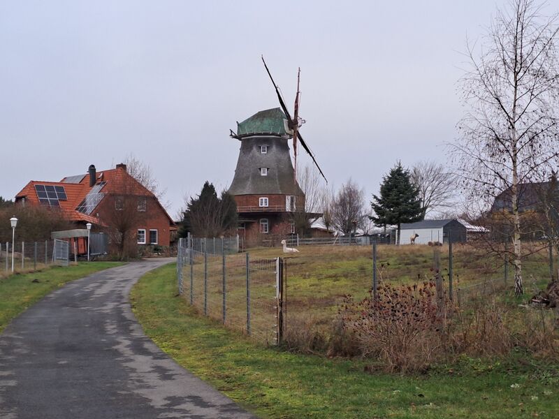 Datei:Neubukow-Windmuehle1-Muehlen-MV-Foto-Arlt-2025-1.jpg