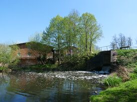 Wassermühle Rüting - Ansicht auf Mühle vom Unterteich 2024
