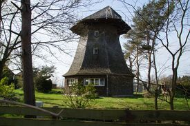 Windmühle Born die Darßer Mühle - Ansicht der Mühle unweit des Boddens 2025