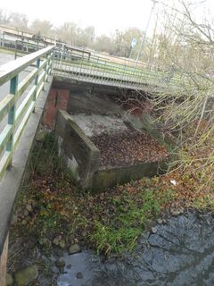 Wassermühle Friedland/ Meckl. - Auslauf Freiwehr vom Mühlenteich 2025