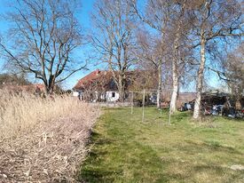 Wassermühle Glienke - Ansicht der Mühle vom verschilften Mühlenteich 2025