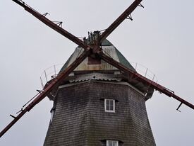 Windmühle Neubukow - Ansicht auf Kappe mit Ventikanten und Mühlenspruch auf dem Mühlenbart 2025