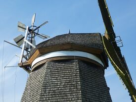 Windmühle Steinhagen - Ansicht die Pommernkappe mit Windrose und Flügel 2024
