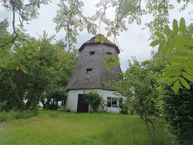 Windmühle Beckenkrug - Ansicht der Mühle vom Müllerhaus 2024
