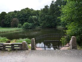 Wassermühle Twietfort - Mühlenteich am Ablauf 2025
