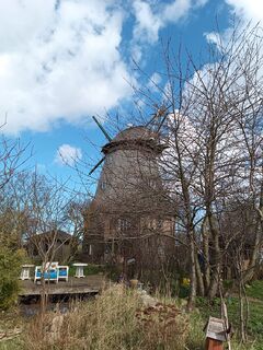Windmühle 2 Blankenhagen - Ansicht Mühle mit Bewuchs 2024