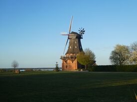Windmühle Goldberg - Sicht auf Mühle am Goldberger See 2024