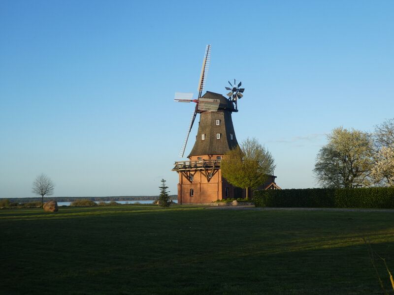 Datei:Goldberg-Windmuehle-Muehlen-MV-Foto-Arlt-2024-2.JPG