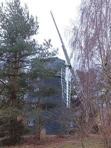 Datei:Windmühle Trassenheide Bild 1.jpg