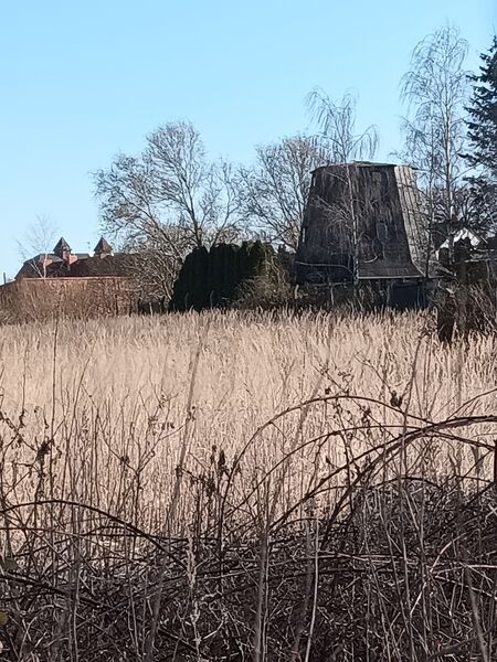 Datei:Windmühle Grimmen Bild 1.jpg