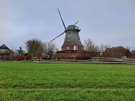 Windmühle Neubukow - Ansicht der Mühle auf Eigenheimgebiet 2025