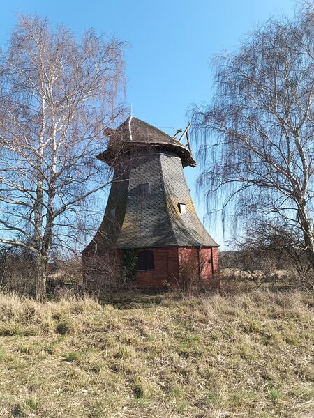 Datei:Windmühle Heinrichswalde Bild 3.jpg