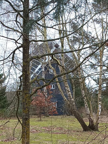 Datei:Windmühle Trassenheide Bild 3.jpg