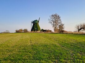 Windmühle Dambeck - Ansicht der frei in der Landschaft stehenden Windmühle 2025