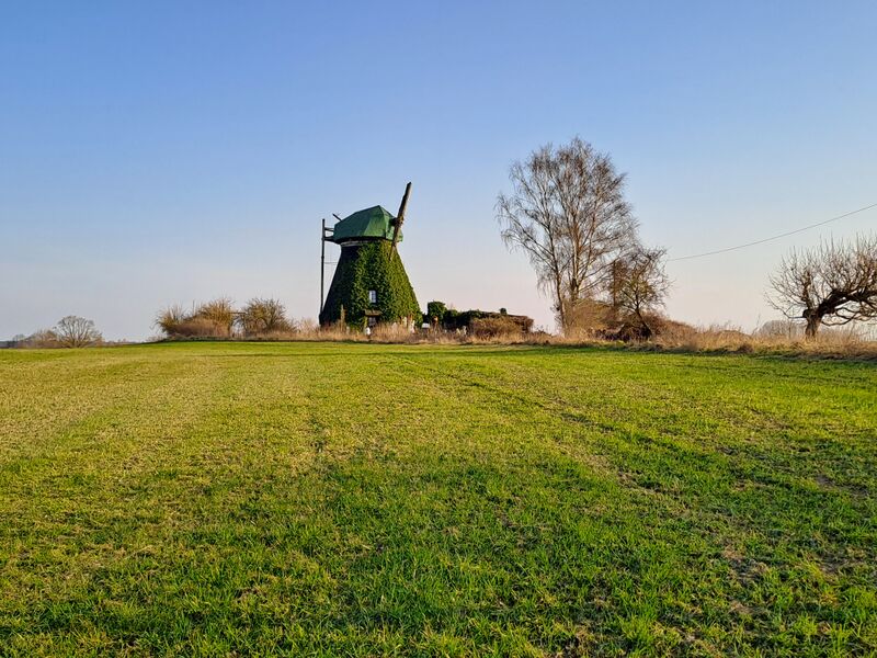 Datei:Dambeck-Windmuehle-Muehlen-MV-Foto-Arlt-2025-1.jpg