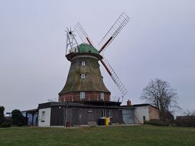 Windmühle 2 in Kröpelin die Versunkene Mühle - Ansicht von Wiese Nordseite 2025