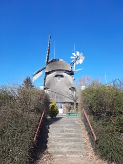 Windmühle Dorf Mecklenburg - Ansicht der Mühle mit Schilfeindeckung 2025