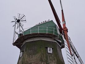 Windmühle 2 in Kröpelin die Versunkene Mühle - Ansicht sanierte Kappe mit Flügel und Windrose 2025