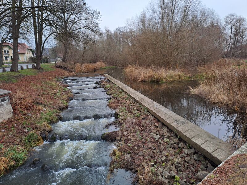Datei:Neubukow-Wassermuehle-Muehlen-MV-Foto-Arlt-2025-25.jpg