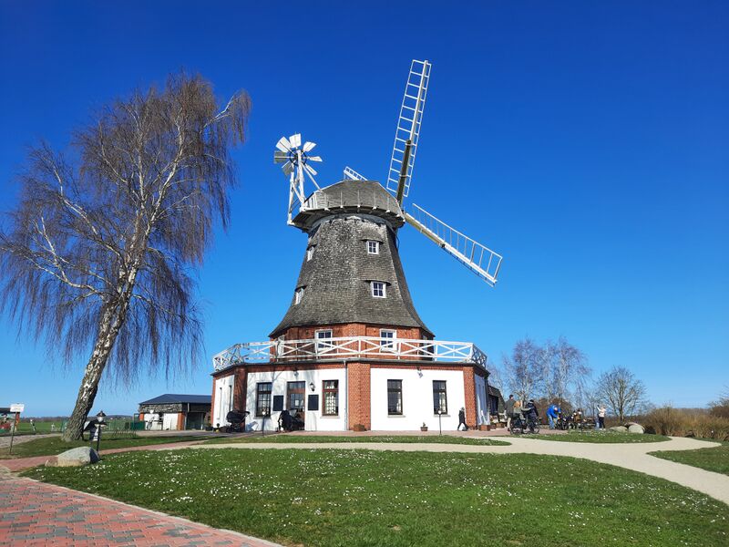 Datei:Windmühle Klütz Bild 1.jpg