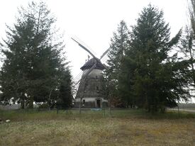Windmühle Hasselförde - Ansicht Mühle 2024