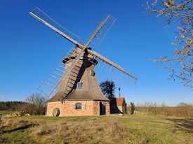 Windmühle Ruchow - Ansicht der Mühle 2025