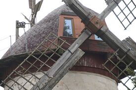 Windmühle Hasselförde - Ansicht auf Kappe und Flügel 2024