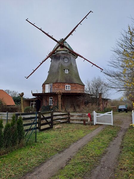 Datei:Neubukow-Windmuehle1-Muehlen-MV-Foto-Arlt-2025-4.jpg