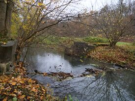 Wassermühle Neubrandenburg die Papiermühle - Wehrreste 2025