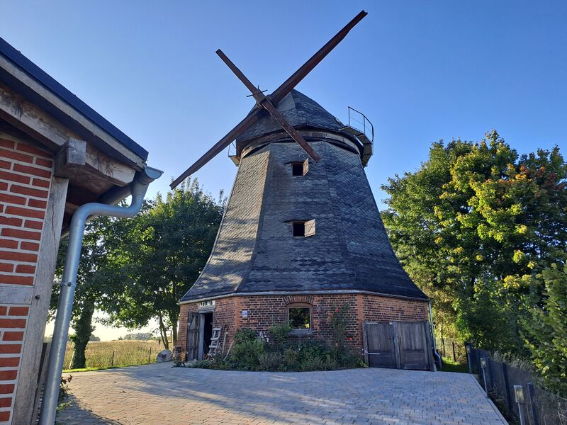 Datei:BadSuelze-Windmuehle-1-Muehlen-MV-Foto-Arlt-2025-2.jpg