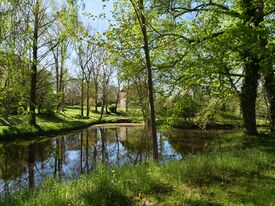 Wassermühle Levitzow - Mühlenteich 2025