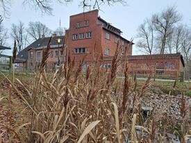 Wassermühle Neubukow - Ansicht Mühle vom verschilften Mühlenteich 2025