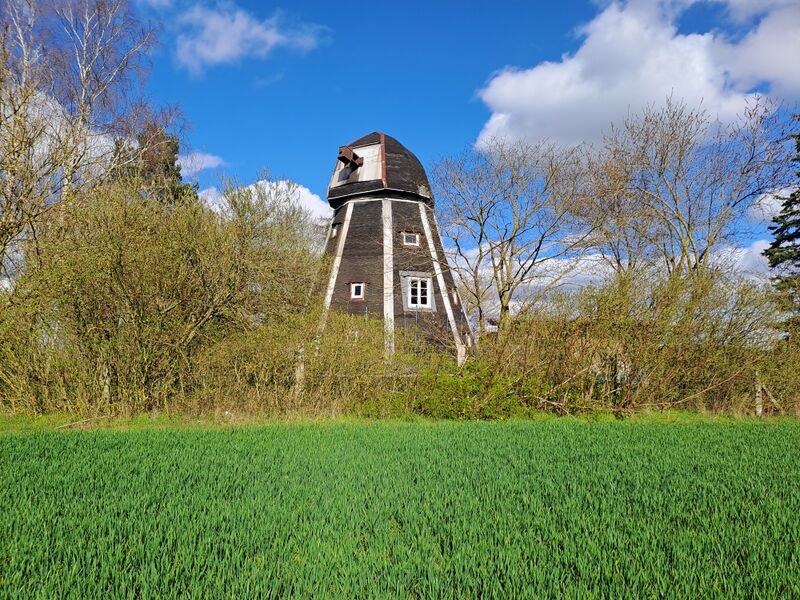 Datei:Friedrichshof-Windmuehle-Muehlen-MV-Foto-Arlt-2025-1.jpg