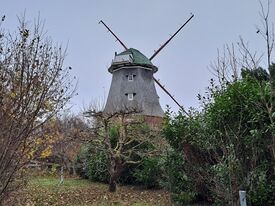 Windmühle Neubukow - Ansicht vom Wanderweg 2025