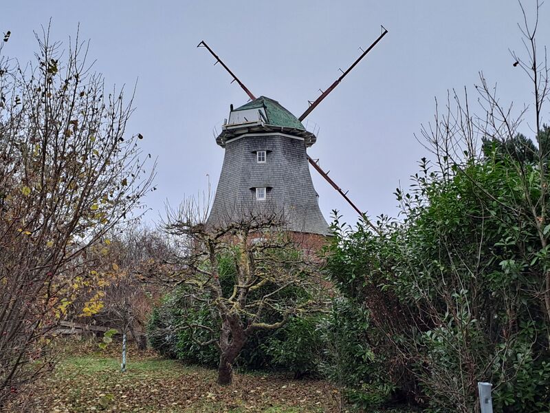 Datei:Neubukow-Windmuehle1-Muehlen-MV-Foto-Arlt-2025-8.jpg