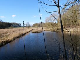 Wassermühle Vellahn die Bruchmühle - Mühlenteich 2025