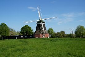 Windmühle Nantrow - Ansicht der Mühle in Landschaft 2024